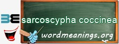 WordMeaning blackboard for sarcoscypha coccinea